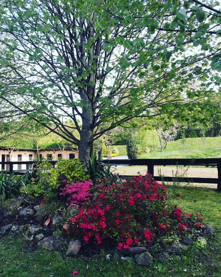 Agroturismo Anziola Ойярсун Экстерьер фото