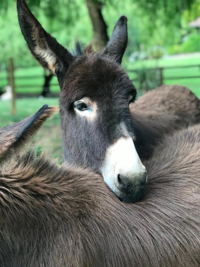 Вилла Agroturismo Anziola Ойярсун Экстерьер фото