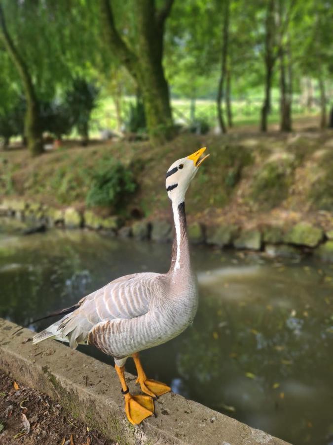 Agroturismo Anziola Ойярсун Экстерьер фото