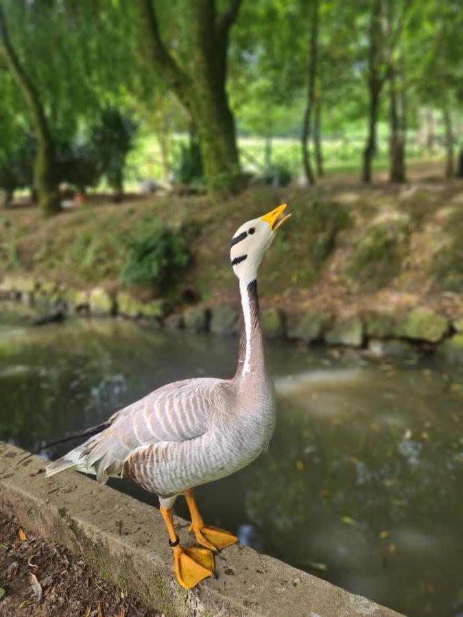 Вилла Agroturismo Anziola Ойярсун Экстерьер фото